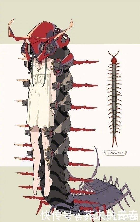 拟人化!昆虫×机械×美少女,这位画师的拟人化,实属“惊艳”