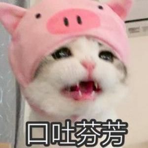 公认好用到飞起的4款洗发水，孕妈用后和扁塌油头说拜拜！回购指数up！