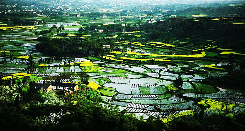 打工|农民该不该去城里买房子?