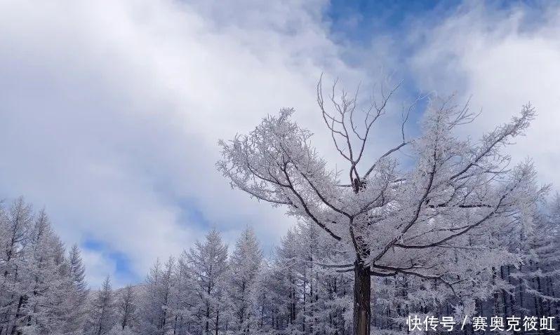 北国风光，雪域驼梁