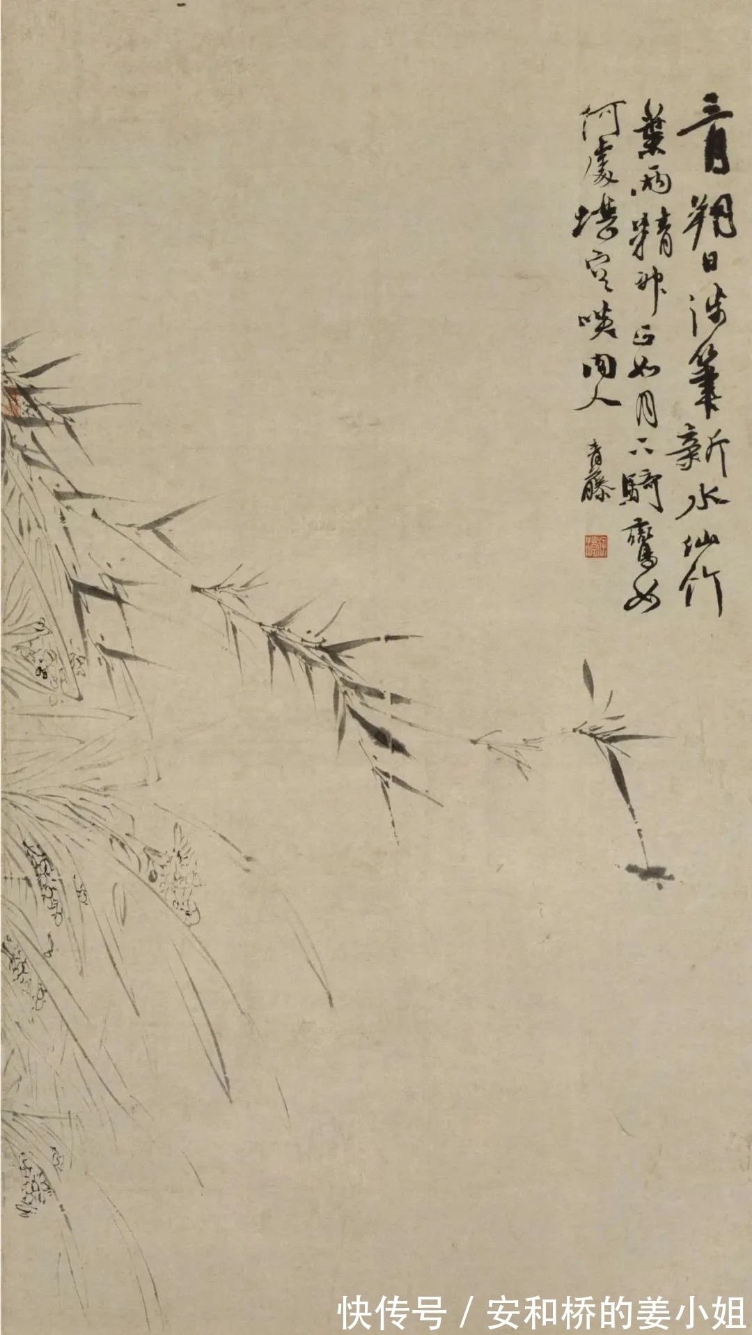 芭蕉！花鸟画一代宗师｜徐渭画竹，当在青藤之后，芭蕉之上，你认为呢？