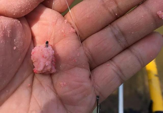 饵料|钓鲢鳙打不到正口？那是提竿不及时，简单几招大大提升命中率