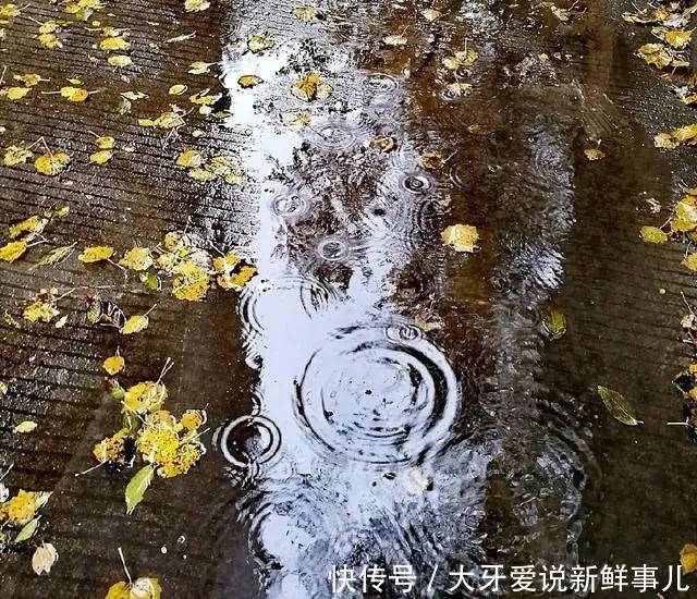 秋雨仍然在这天地间流淌着，我喜欢它的清凉