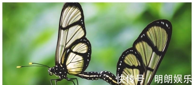 星座|未来一周,遇真爱,月老点名,爱情随之即来身边的4大星座