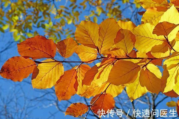 高血压|秋季是“高血压危险季”,医生:患者要做好6件事,减轻病情