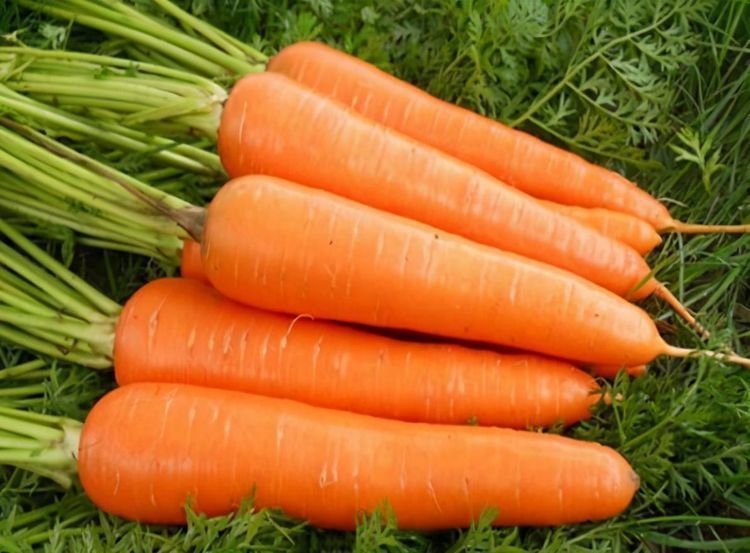 营养均衡|每天晚上坚持吃3种食物,排毒养颜、延缓衰老,早吃早好!