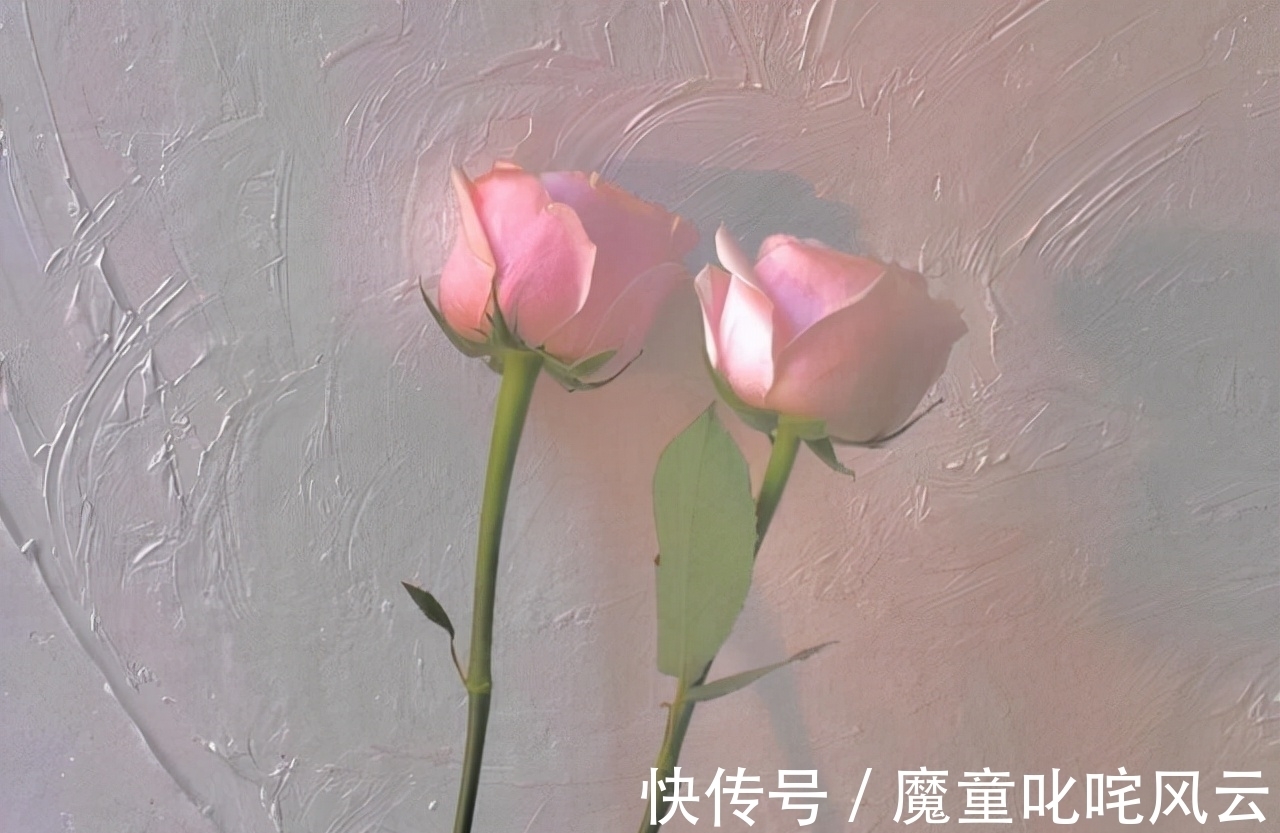 另一方面|这个星座,确实完美主义,比处女座有过之而无不及