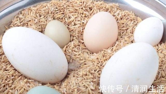 鹅蛋|怀孕后吃鹅蛋可以去胎毒吗,啥时候吃鹅蛋更好一些