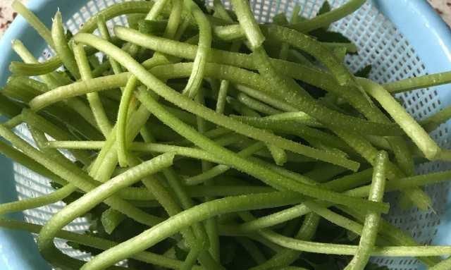 维生素p|“高血压”最怕此菜,坚持每天吃点,血压稳定不上升,很少人知道