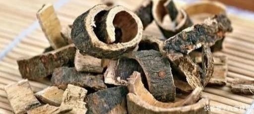 合欢皮|每天认识一味中药——合欢皮