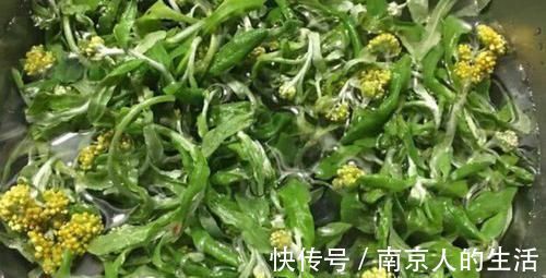 美容|对身体很好的3种食物，美容养生、延缓衰老，早吃早健康！