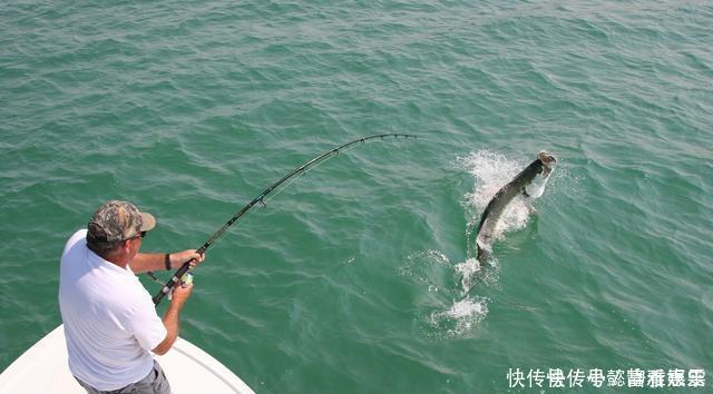 饵料|钓鱼时放药酒效果很好，但用错了反而死窝，几个技巧让你钓好鱼