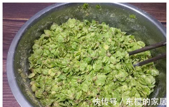 野菜|长在树上的野菜，用玉米面拌一拌，上锅蒸熟，比大鱼大肉吃着都香