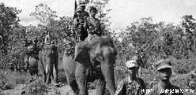 国家|二战入侵我国的国家中,除日本外还有这个国家,今和中国关系很好!