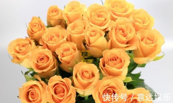 喜欢菊花,不妨养“精品玫瑰”假日公主,代表活力四射,金光灿灿