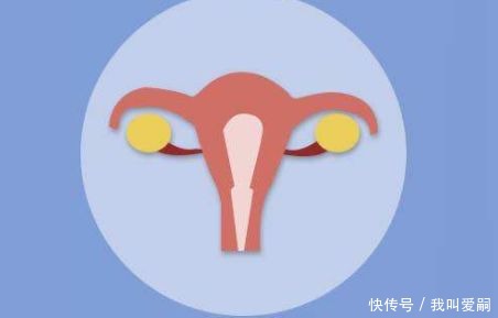 胚胎|子宫内膜容受性差是为什么?