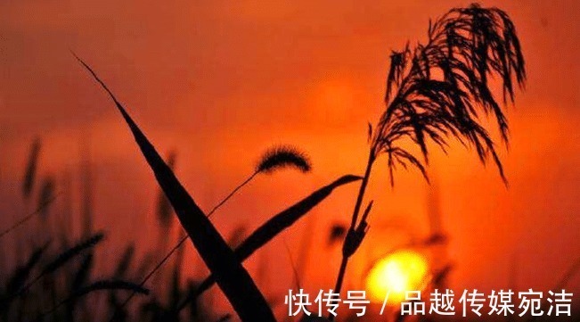 自私$“人不为己,天诛地灭”是自私?很多人都误解原意了