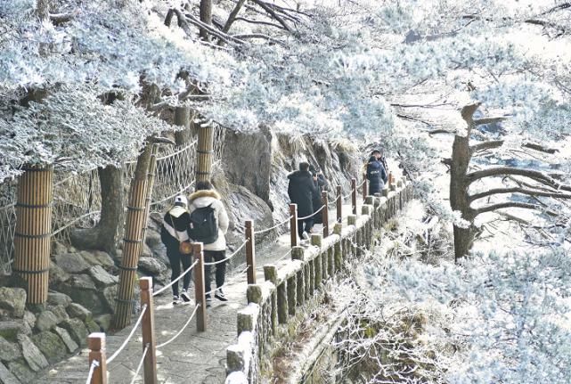 老年|黄山风景区又双叒叕降雪啦！绝美雾凇不容错过