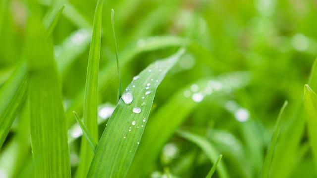 生化|脾虚百病生脾有“三怕”,多吃“一果”,健脾祛湿一步到位