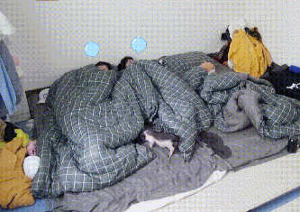 台风少年团|TNT团综来袭,全员合体节目名超搞笑,时隔两年再次“养猪”?