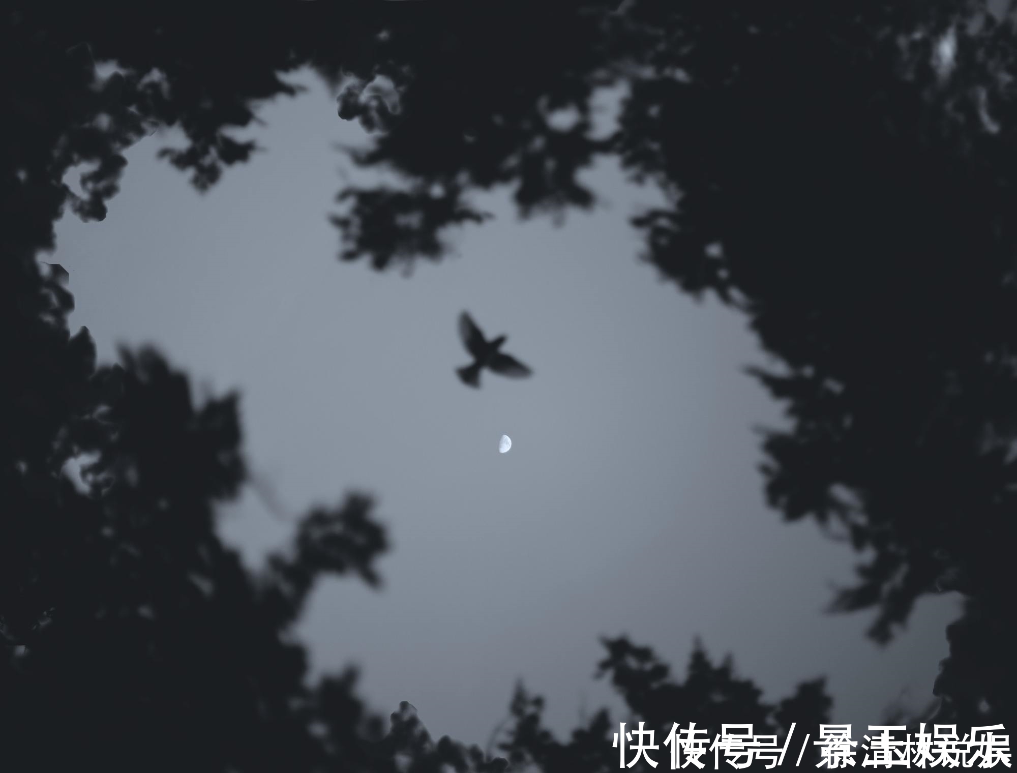 诗歌!李商隐很经典的一首《无题》,最后14字惆怅朦胧,值得一读