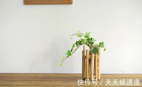 用过的油桶、鸡蛋壳别扔，用来养花，养1盆爆1盆，省钱又环保！