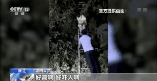 张新宝|央视调查：跟踪、代拍艺人已成产业链！太疯狂