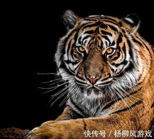 九头虫#盘点西游记那些没有后台的妖精,是生是死全凭自己