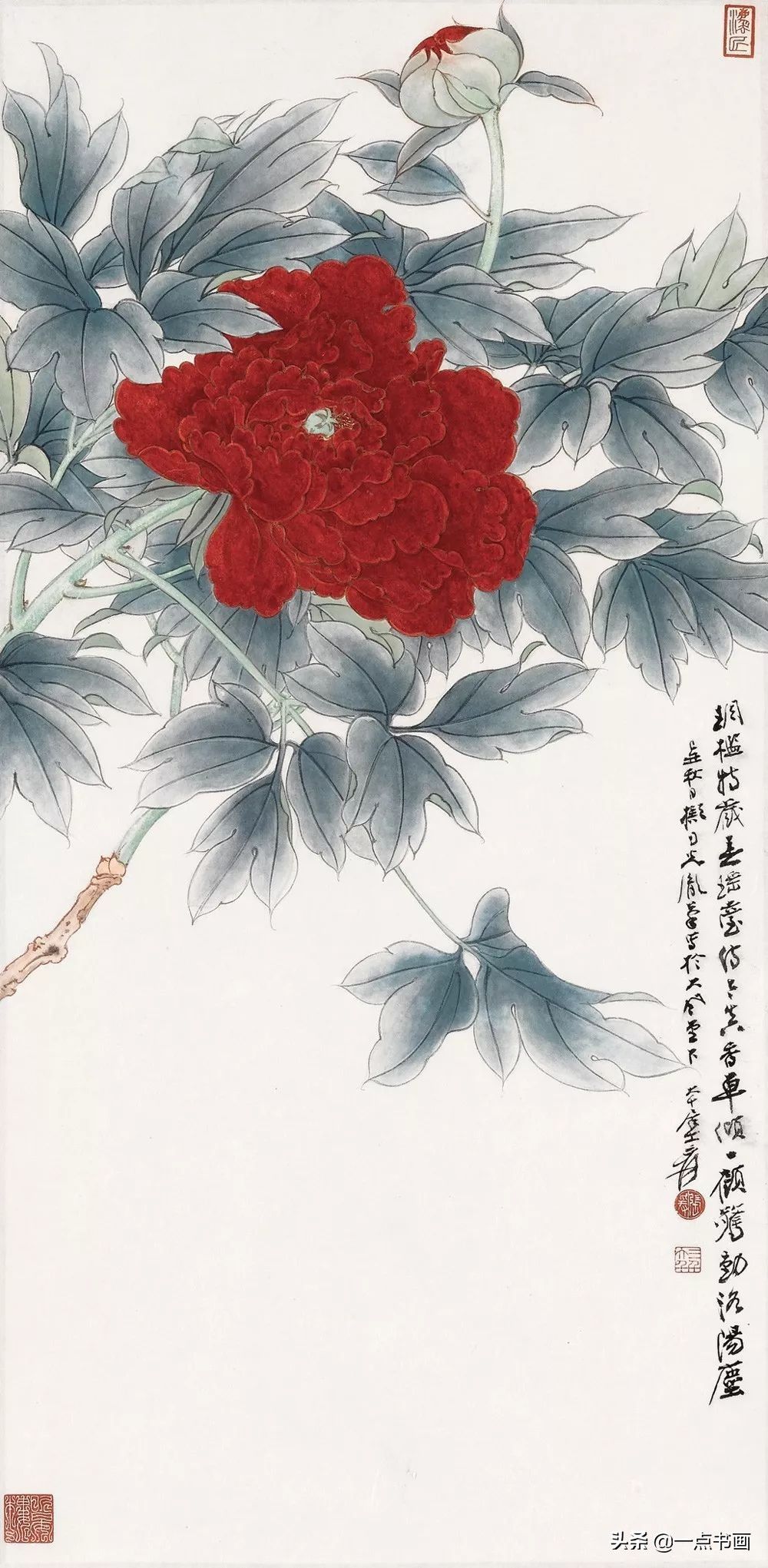 工笔&张大千 花鸟画100幅高清欣赏