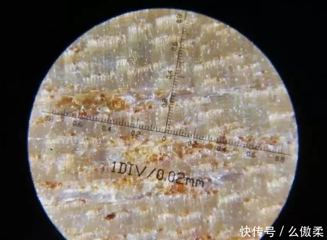  放大|把金丝楠木放大100倍后的样子，你有见过吗？