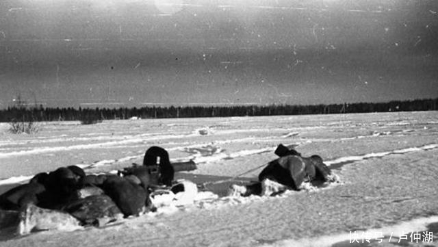 拉脱维亚|令第二突击集团军覆灭的行动,柳班进攻战役,究竟发生了什么?