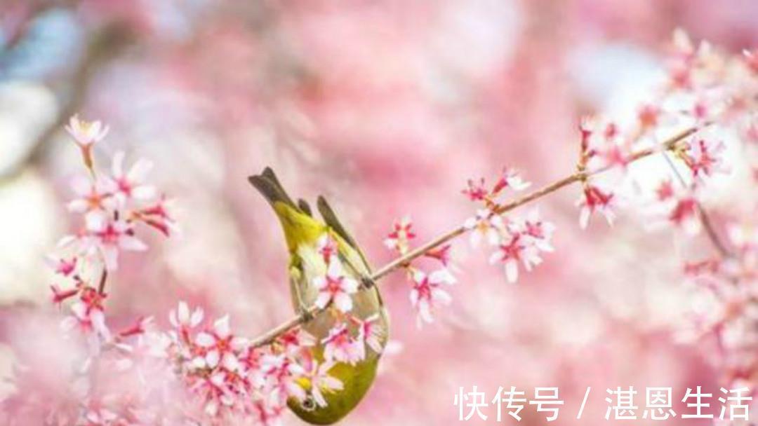 李煜$曹操:一个被野心耽误的天才诗人,他这首千古绝唱一般诗人写不来