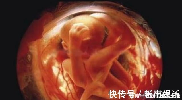脐带|怀孕6个月，胎儿容易遇到2种危险，出现任何一个孕妇也要谨慎