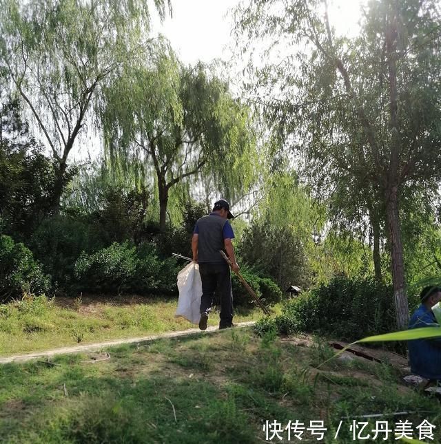 大鱼|高温天,钓大鱼先克服这些“难题”,不是我吹,渔获瞬间猛增几倍