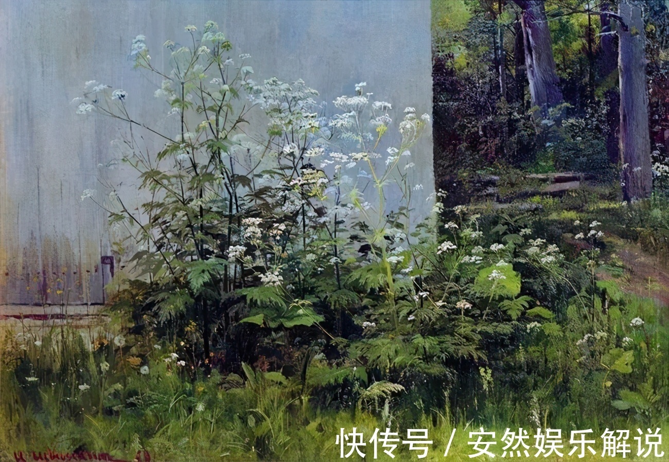 现实主义&俄罗斯杰出风景画家希施金的作品,诗一般的境界!