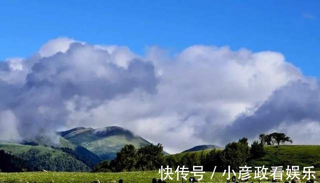 雪域高原|「玉科草原」雪域高原的美丽邂逅