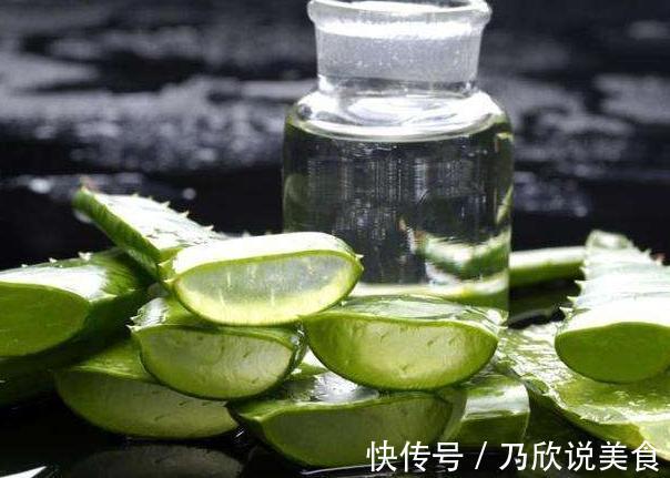 想要养出“老桩盆景”，首选这“2种”植物，6个月就能养成