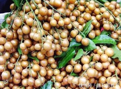 晚上当零食吃几颗,一个月下来,止咳化痰,消炎杀菌,夏天不咳嗽