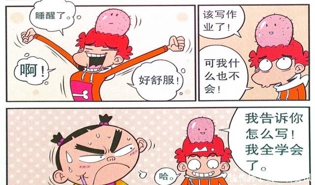 衰漫画衰衰“头顶大包”认真学习解答问题真搞笑