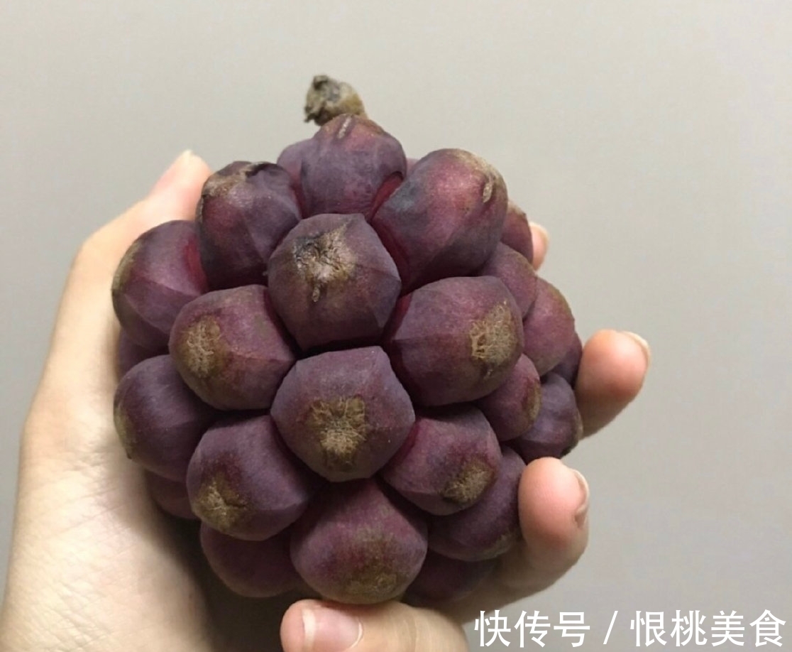 布福娜|海贼王里面恶魔果实,现实中真的存在? 超市就买得到128元一个