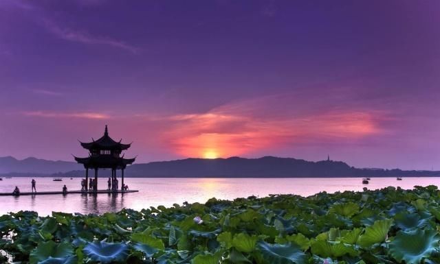 西湖#杨万里最经典的一首诗,短短二十八个字,让人有一种身临其境之感