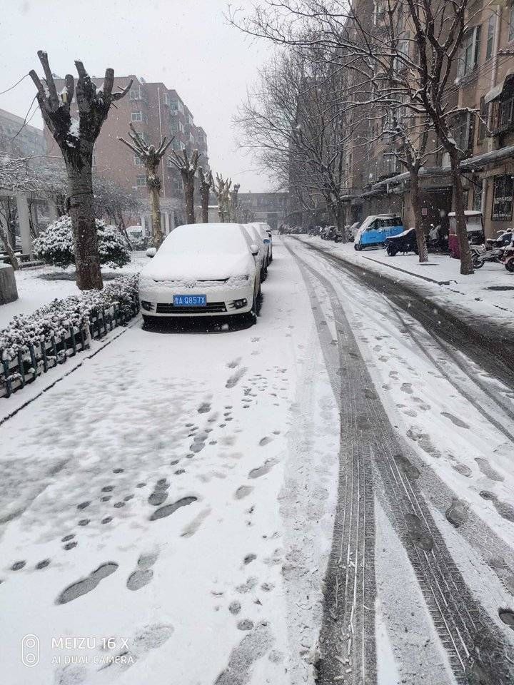 雪天|济南雪天踏雪行