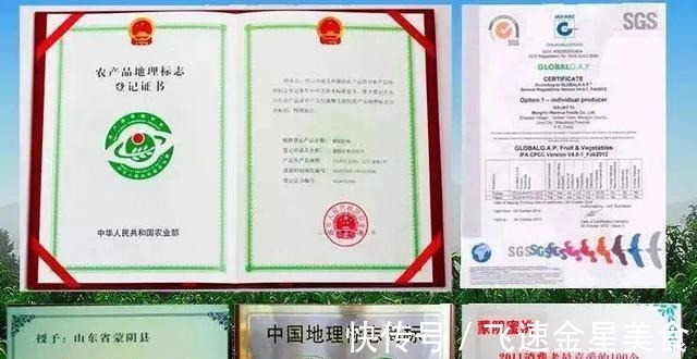 国家地理|黄桃中的“金皇后”,脆甜多汁,个大饱满,咬一口全是蜜~!