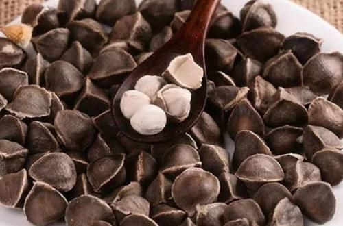 功效|4种食材泡酒喝,功效赛过牛根,男性每晚1杯,精力更旺盛