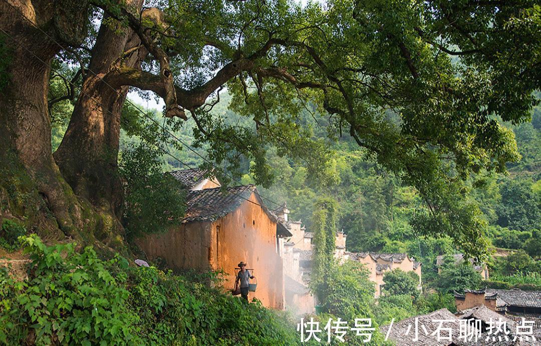 朴实|浙江一“原生态”古村，位于松阳，古韵悠悠，当地人生活朴实悠闲