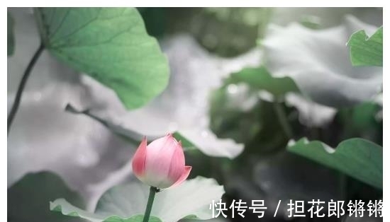 属相|进入9月初,4属相运势上涨,财源广进,事业进步,日子美满