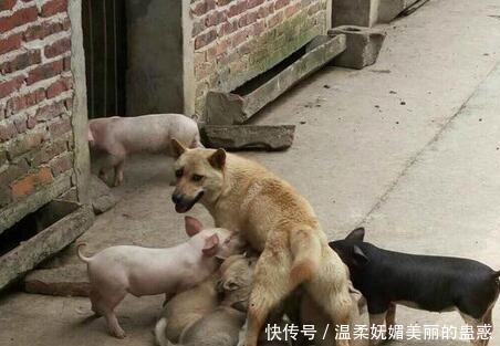 楼梯|姑娘今天裙子穿的有点紧,上个楼梯都需要别人帮助!