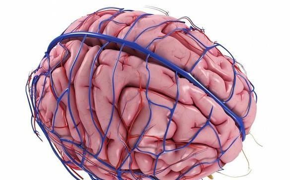 身体有5个表现,脑血管可能堵塞了,50岁以后,