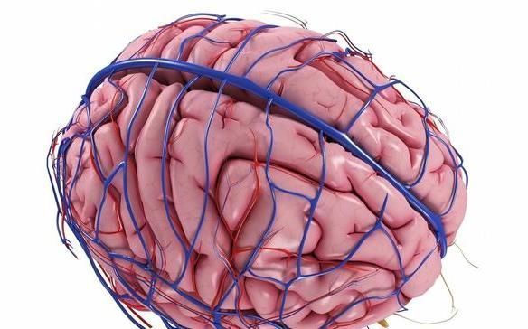 身体有5个表现，脑血管可能堵塞了，50岁以后，