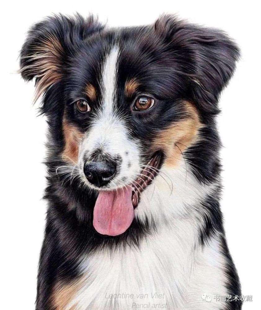  美女|一匹马画了16年！美女学渣逆袭成功，坚持下来很酷！